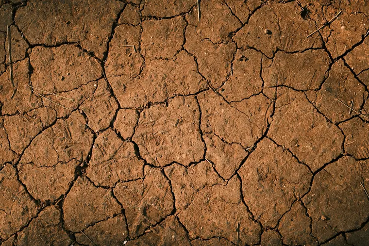 Dry cracked clay soil showing the deep fissures clay opens when it dries