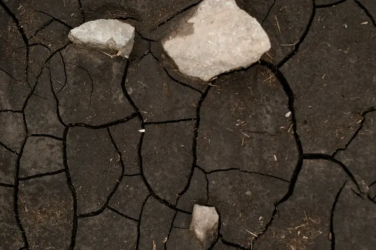 Cracked dark soil with stones, the mixed ground common on older village lots
