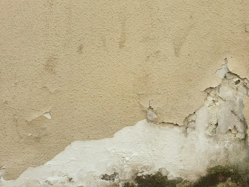 Basement wall with paint blistering and lifting away in sheets